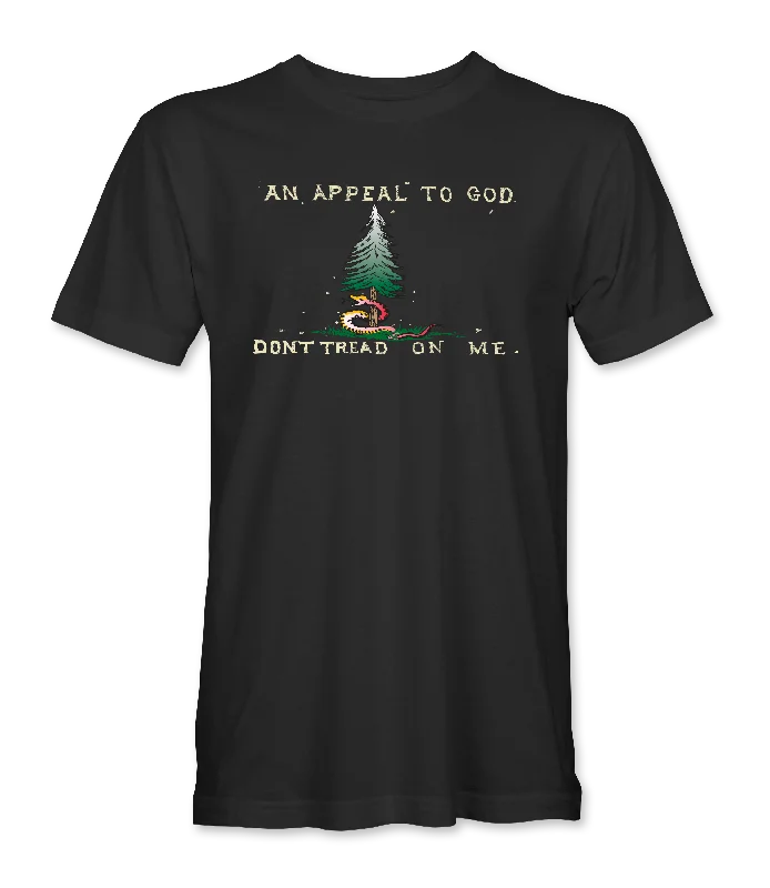 Sheer Women T Shirt for a Stylish and Alluring LookAn Appeal To God T-Shirt