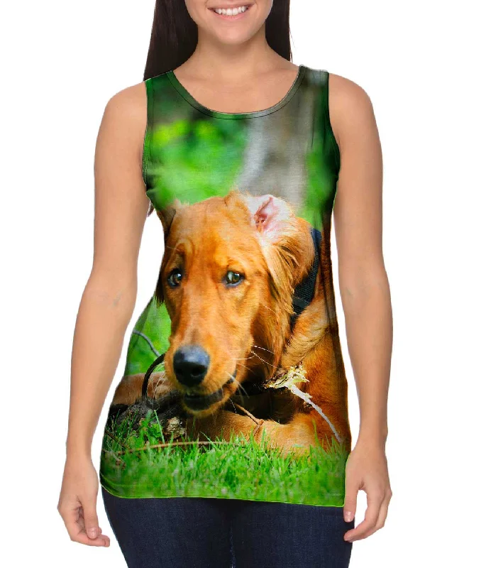 Scoop Neck Women's Linen Blend Tank Tops for SummerGolden Lab Lost Bone